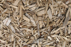biomass boilers Ladyburn
